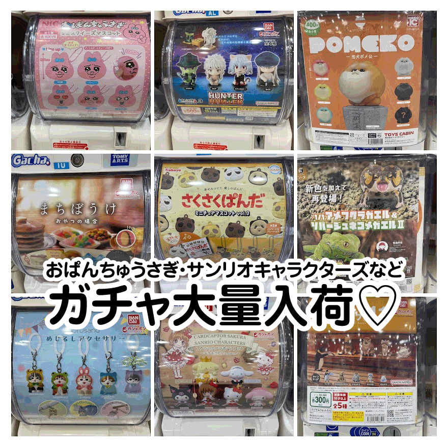 スクイーズˊᵕˋ)੭set 素早く アニマル系セレクト