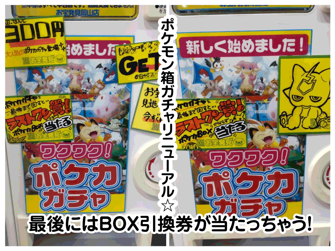 ☆ガチャ 更新✨🃏【ポケモン箱ガチャ300円をリニューアル❕】#ポケカ
