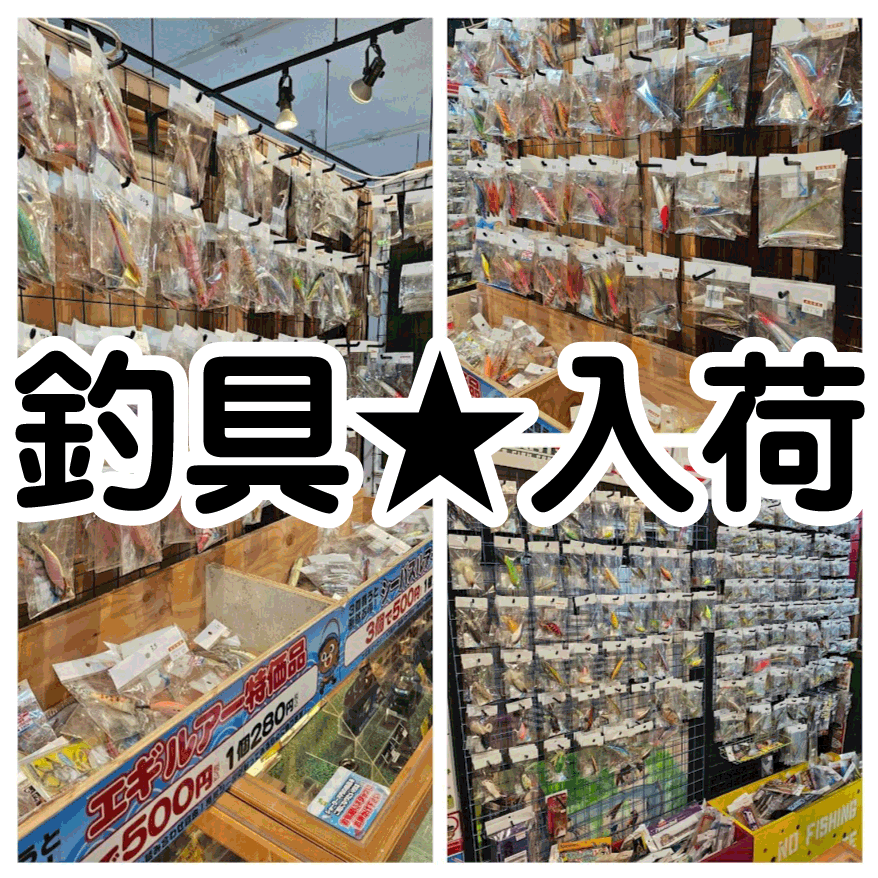 ☆釣具 入荷✨🎣【シーバスルアー・エギ・バスルアー】#お宝発見岡山店
