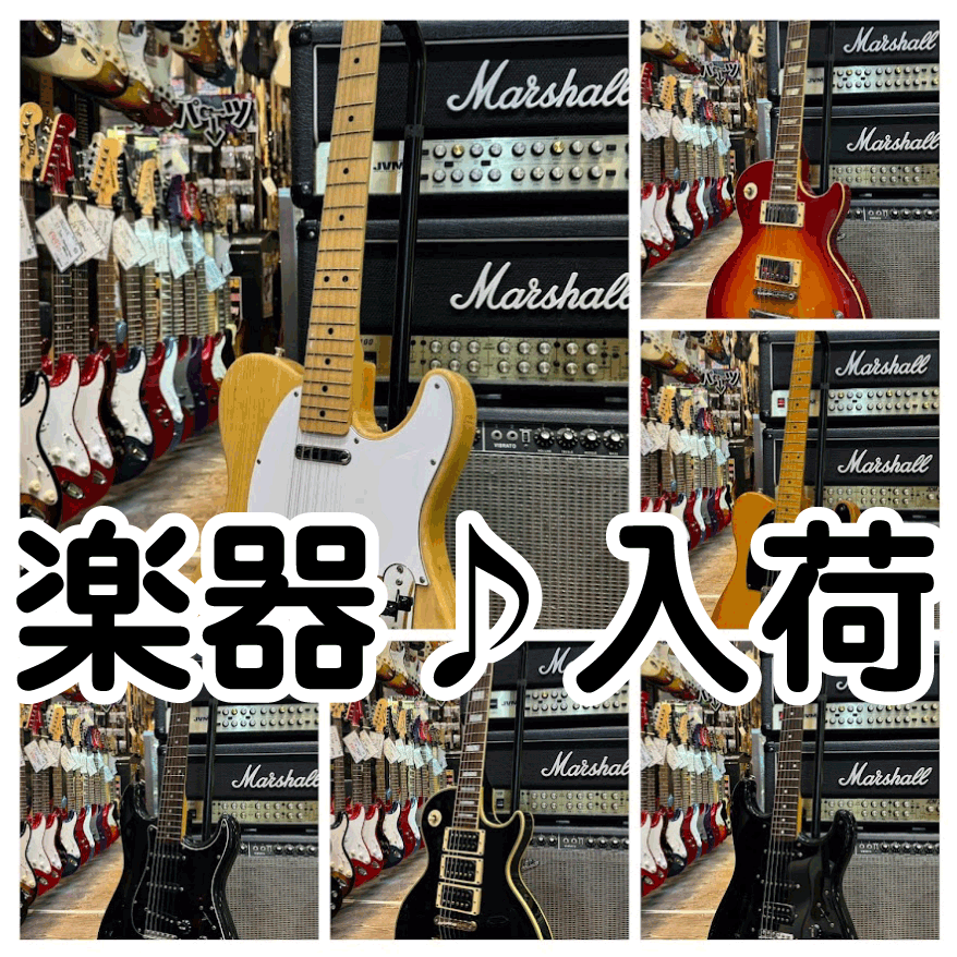 ☆楽器 買取✨🎸【Greco EG600】【Fender Custom Shop Master ☆楽器 買取✨🎸【Greco EG600】【Fender Custom Shop Master