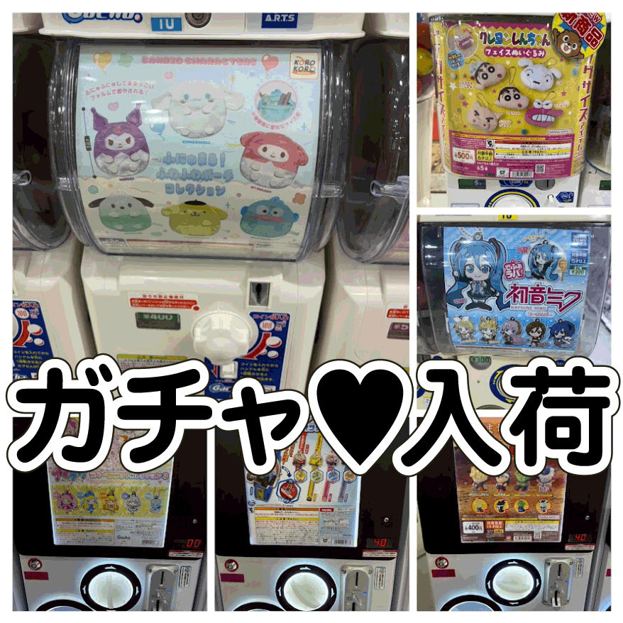 ☆ガチャガチャ 入荷✨🎯【サンリオキャラクターズ ふにゅまる