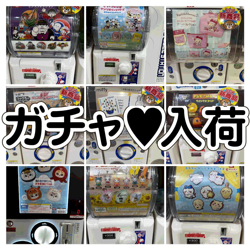 チビクマ☆新商品入荷中様 リクエスト 2点 まとめ商品 ☆ガチャガチャ 入荷✨🎯【恒例となりました週末入荷♡】#お宝