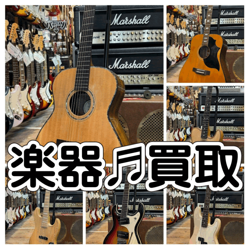 Seventy Seven 【7月上旬以降入荷予定】 Japan Tune-Up Series
