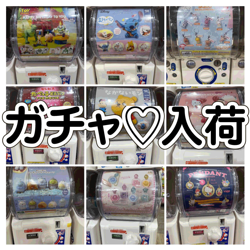 キャンハゲガチャ ☆ガチャガチャ 入荷✨🎯【火曜日もドサッと入荷♫】#お宝発見