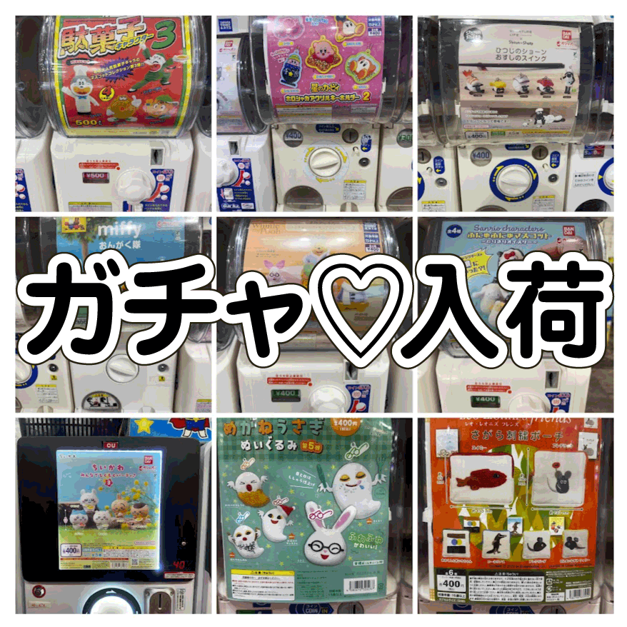 ☆ガチャガチャ 入荷✨🎯【週末に向けてドカンと入荷💣】#お宝