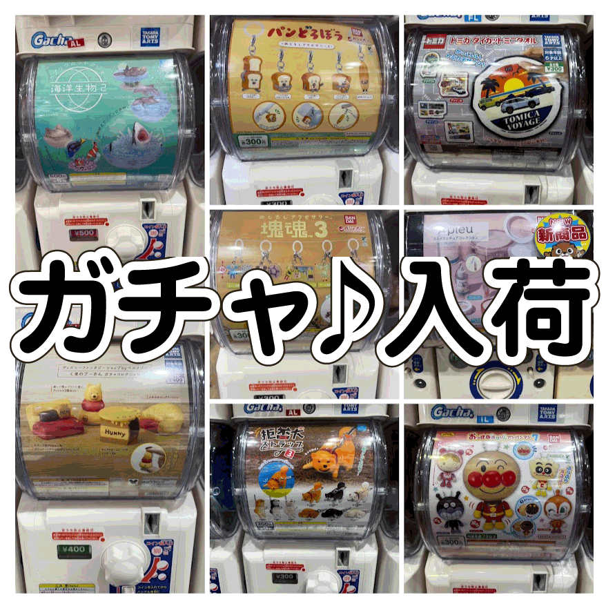 カプコレ　ガチャ　37 カプコレ ガチャ 37 カプコレ ガチャ 37 ZXカードガチャ