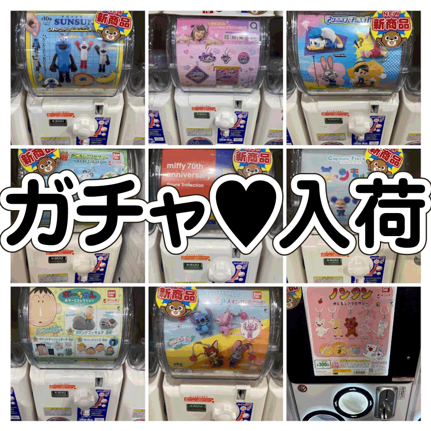 ☆ガチャガチャ 入荷✨🎯【連休中も＼必死／に入荷中～♡】#お宝発見