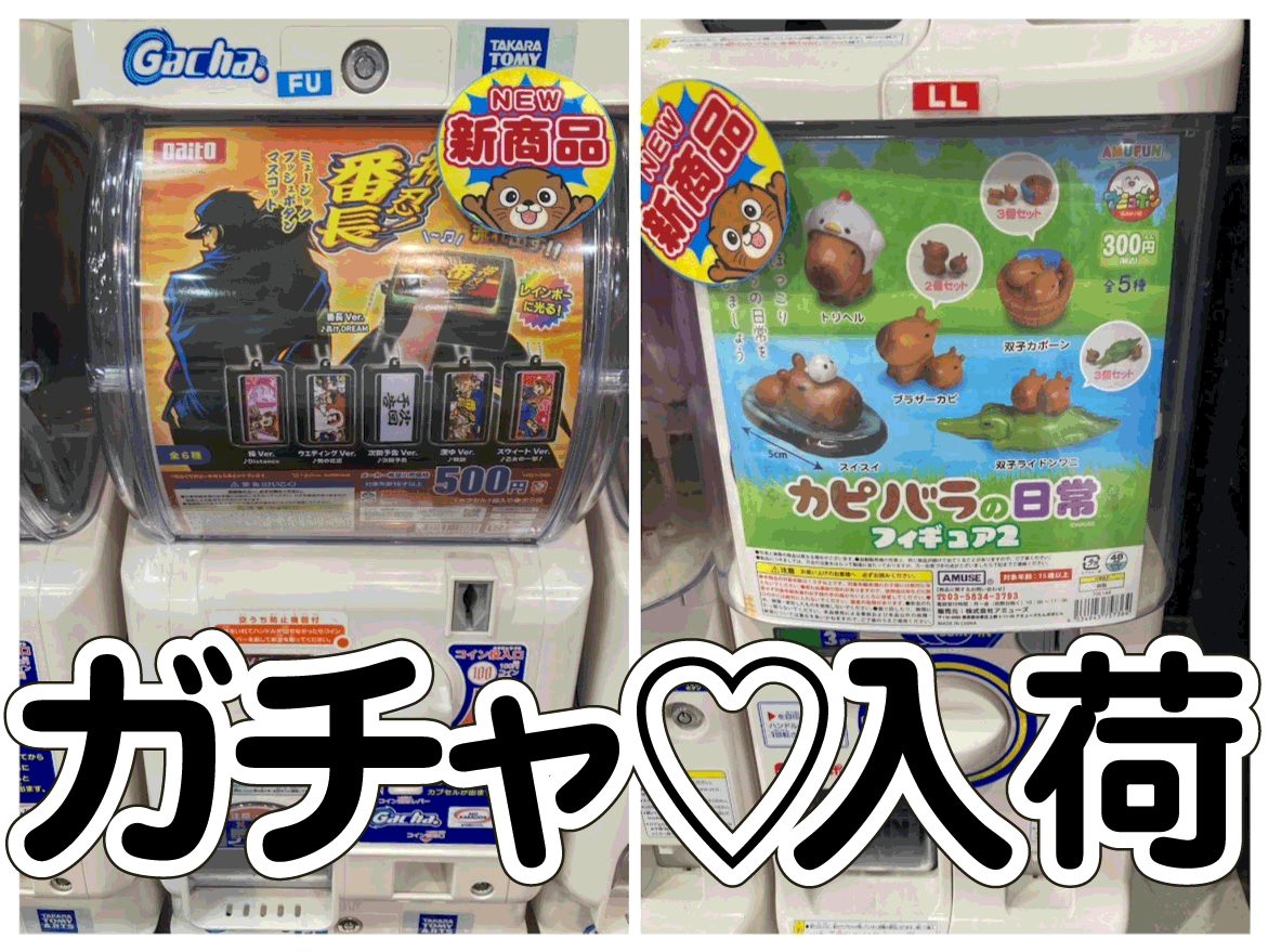 ☆ガチャガチャ 入荷✨🎯【カピバラの日常 フィギュア2】【押忍！番長