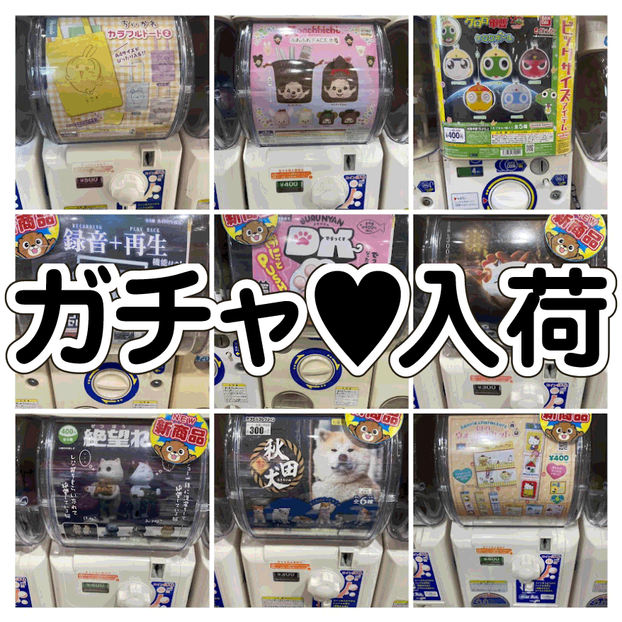 ☆ガチャガチャ 入荷✨🎯【最新ガチャ入荷中☆】#お宝発見岡山店