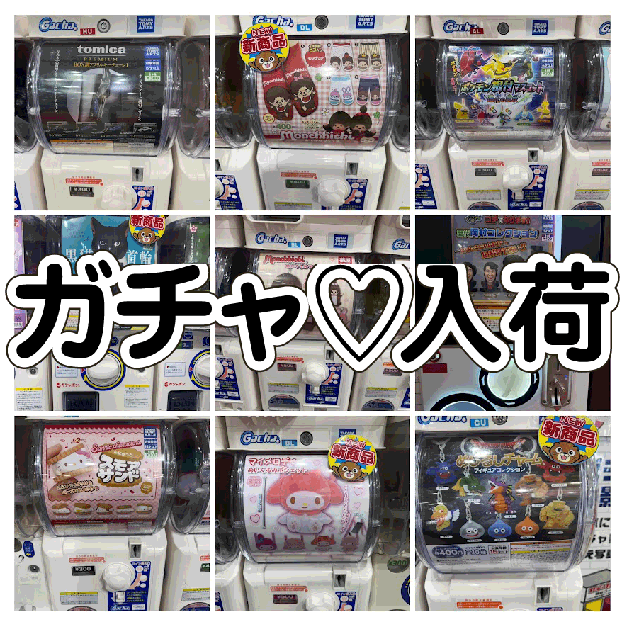 ☆ガチャガチャ 入荷✨🎯【「年末年始」も「ガチャガチャ」なら「お宝