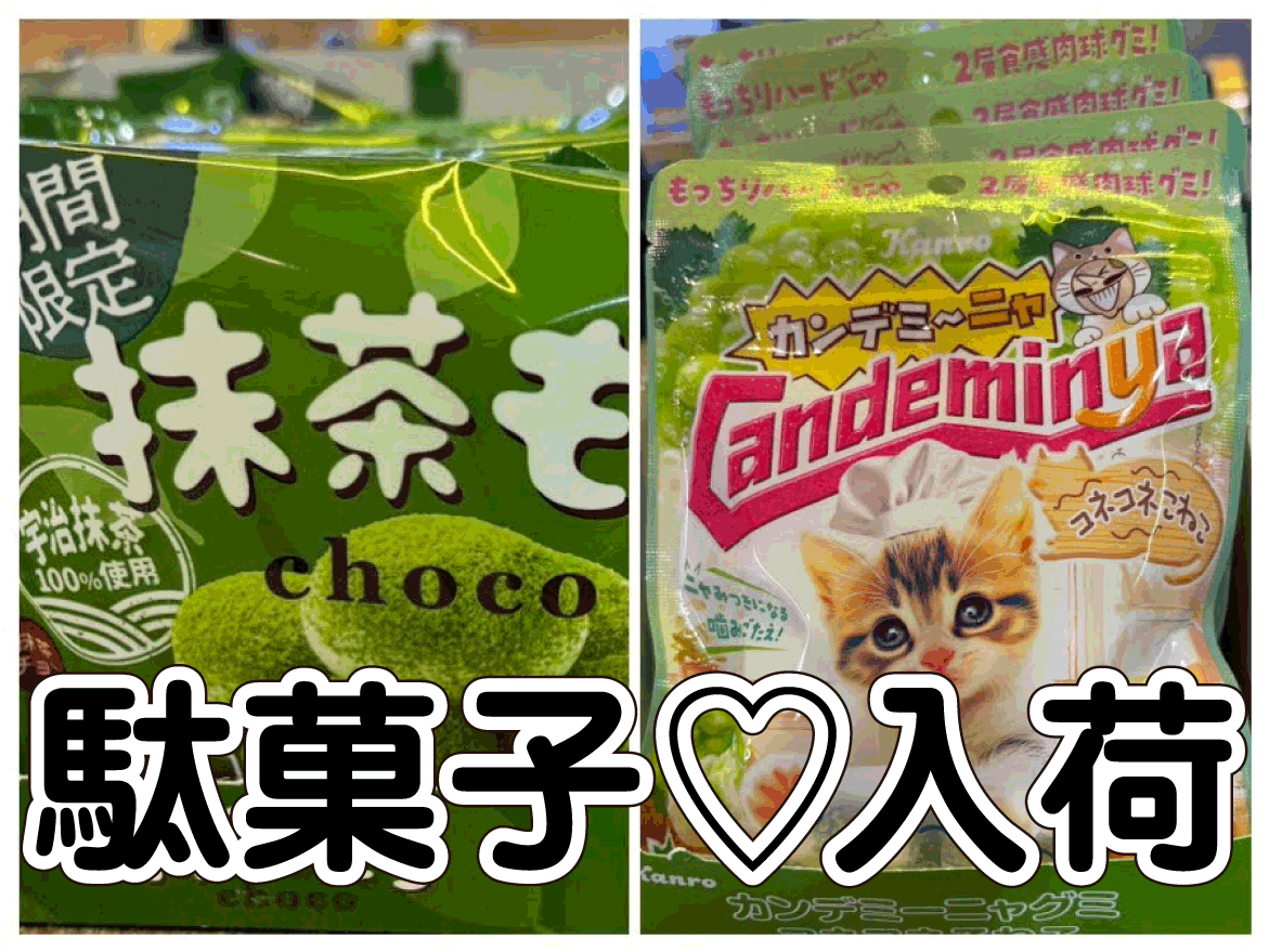 ☆駄菓子 入荷✨🍬【チロル抹茶もち🍵】【カンデミーニャねこちゃん