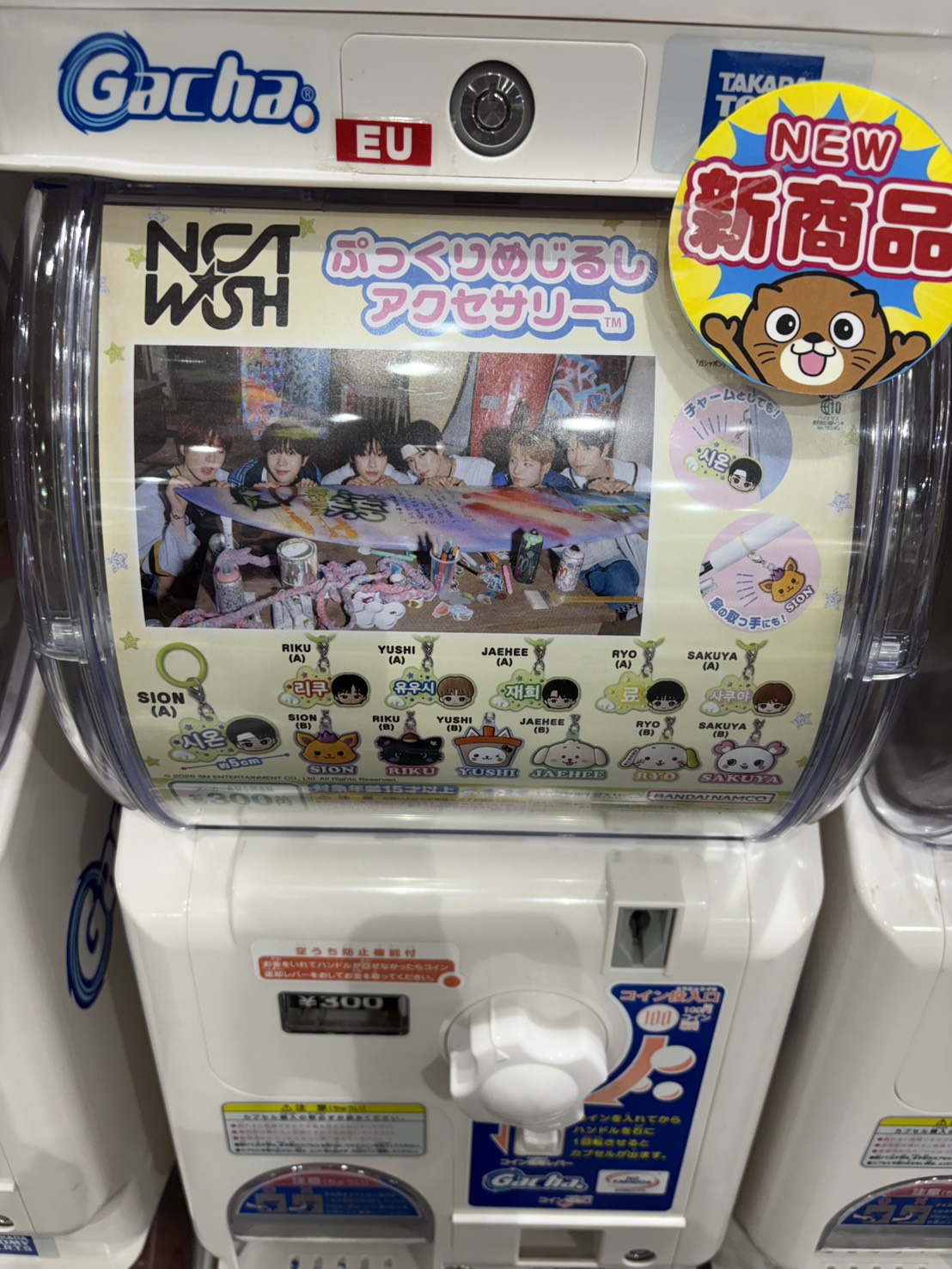 ☆ガチャガチャ 入荷✨🎯【NCT WISH ぷっくりめじるしアクセサリー